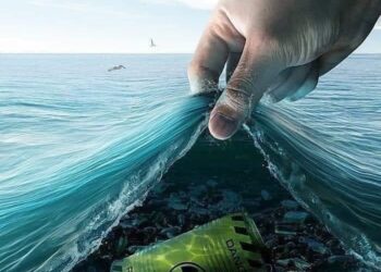 विश्व पर्यावरण दिवस: घर की समस्याओं से पार हो जाओ, ध्रुवीय भालू अपने आप बच जाएंगे