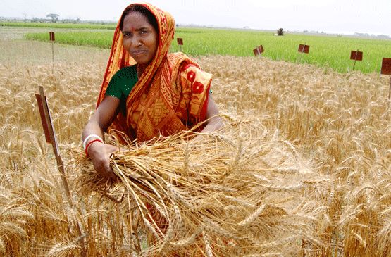 Women-farmers-of-India