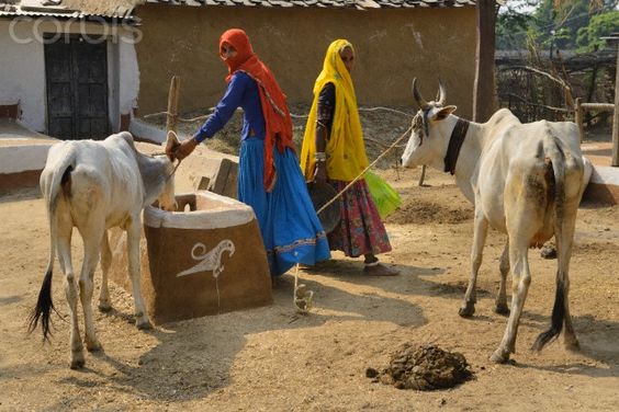 Women-farmers-of-India