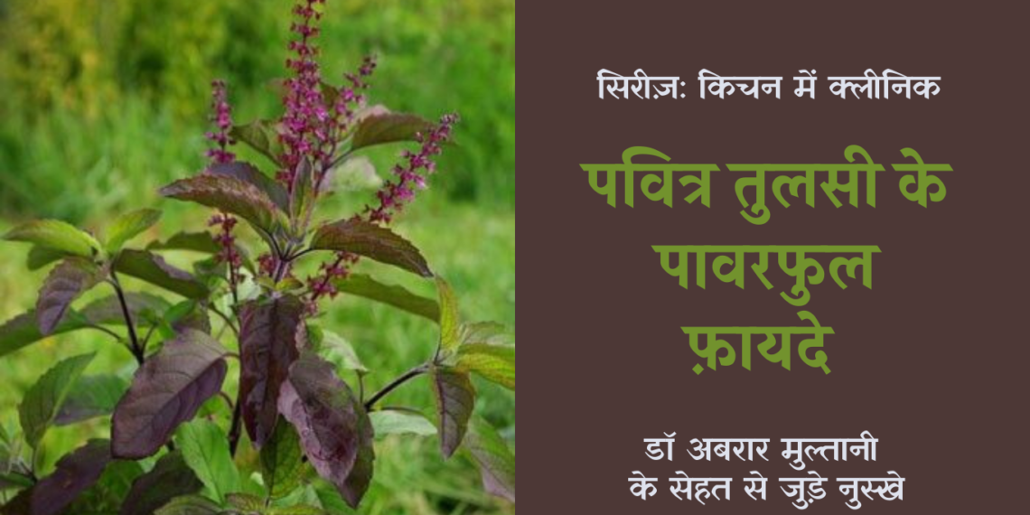 Basil-benefits_in-hindi