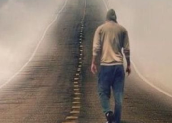 सच का कीड़ा और रीढ़ की हड्डी: शिल्पा शर्मा की कविता